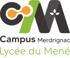 Lycée Merdrignac