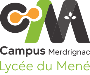 Lycée Merdrignac
